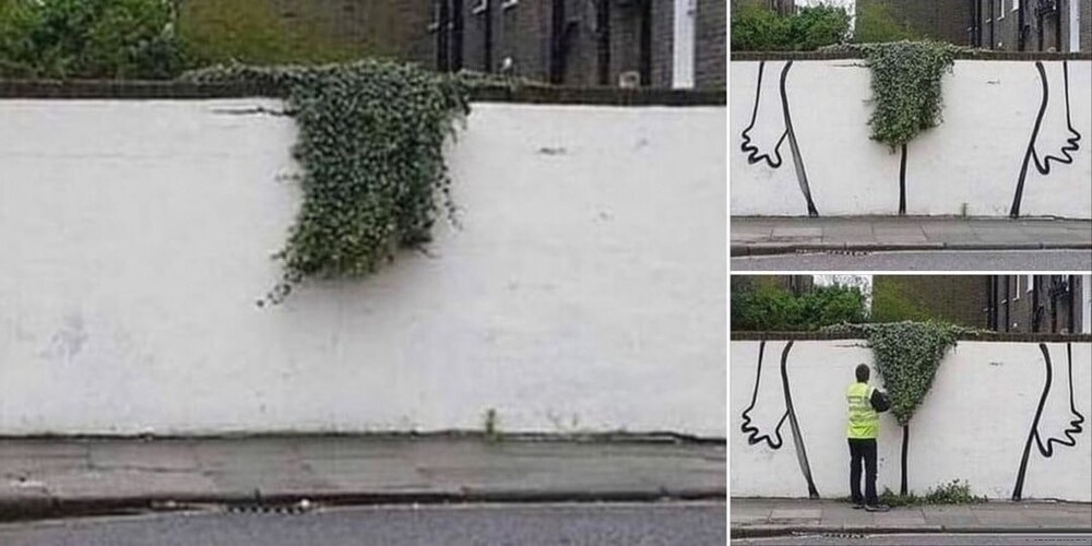 Увеличить Увеличить