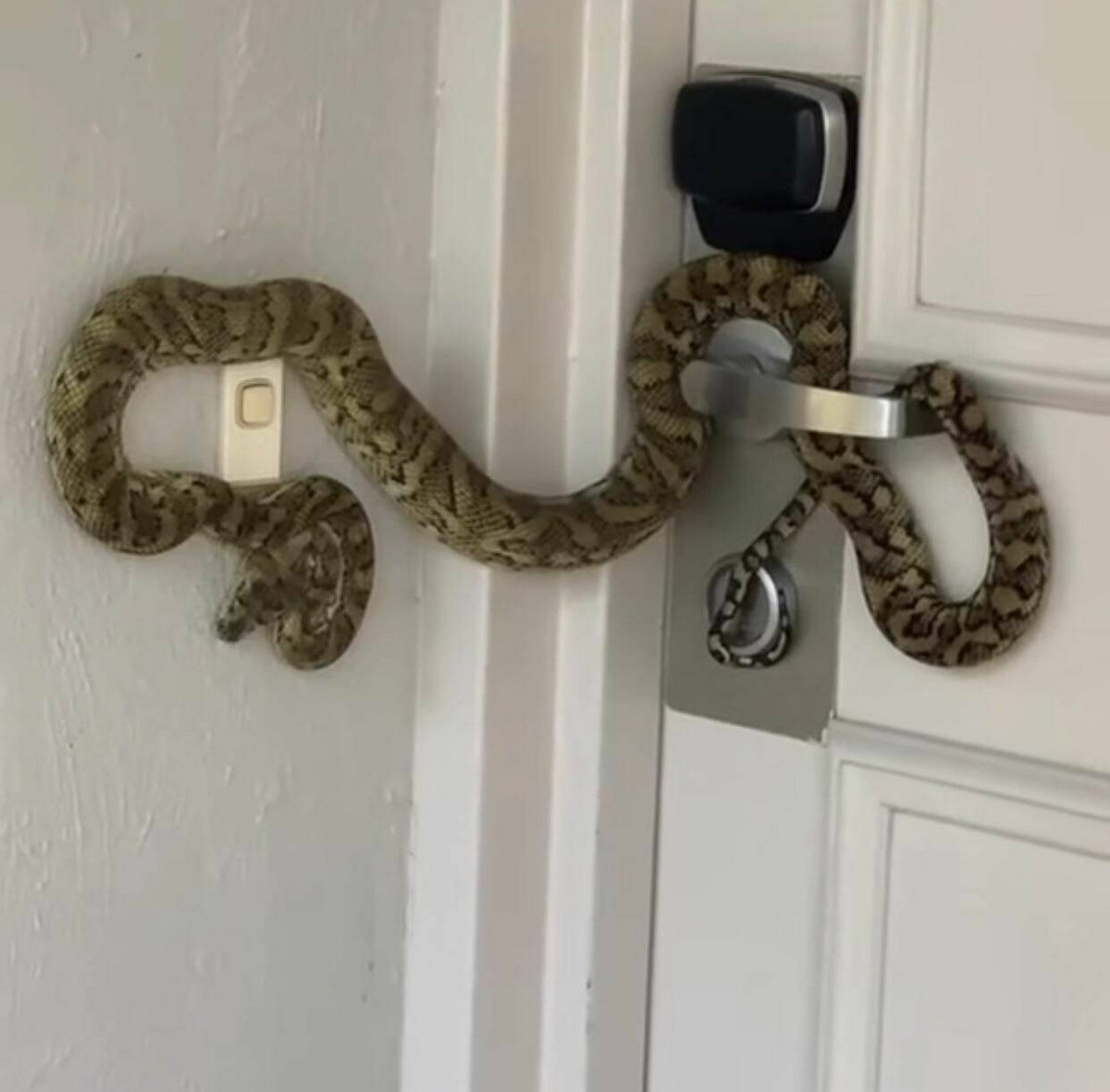 ���������