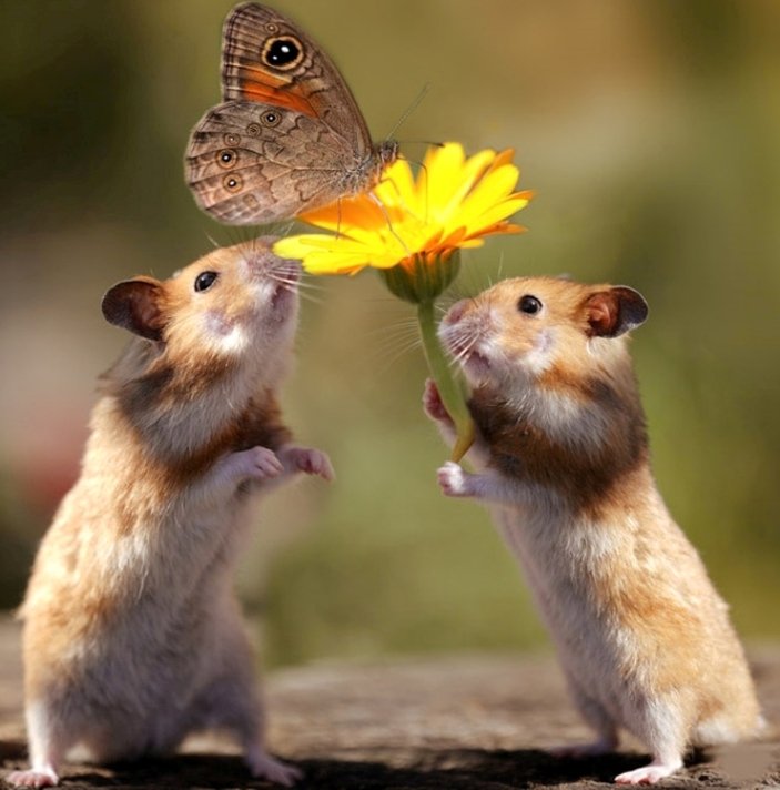 ���������