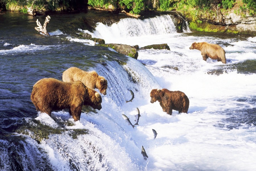 ���������