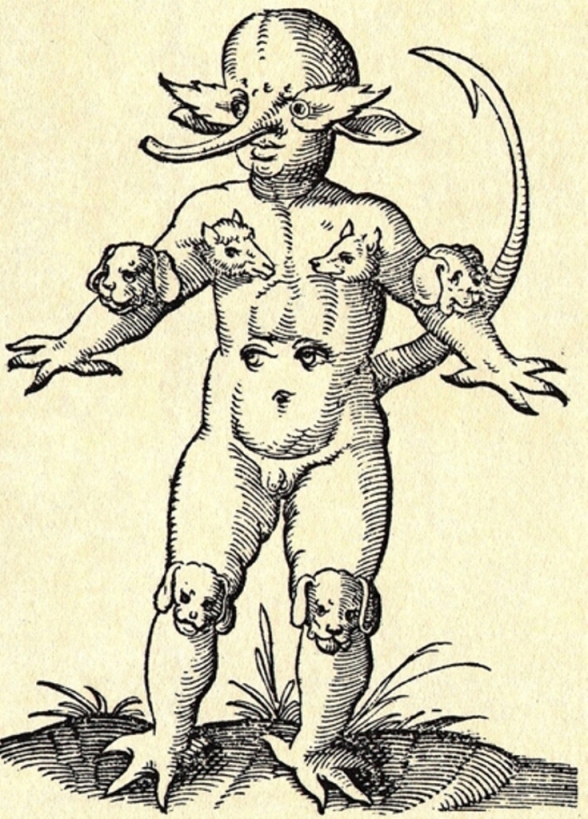 ���������