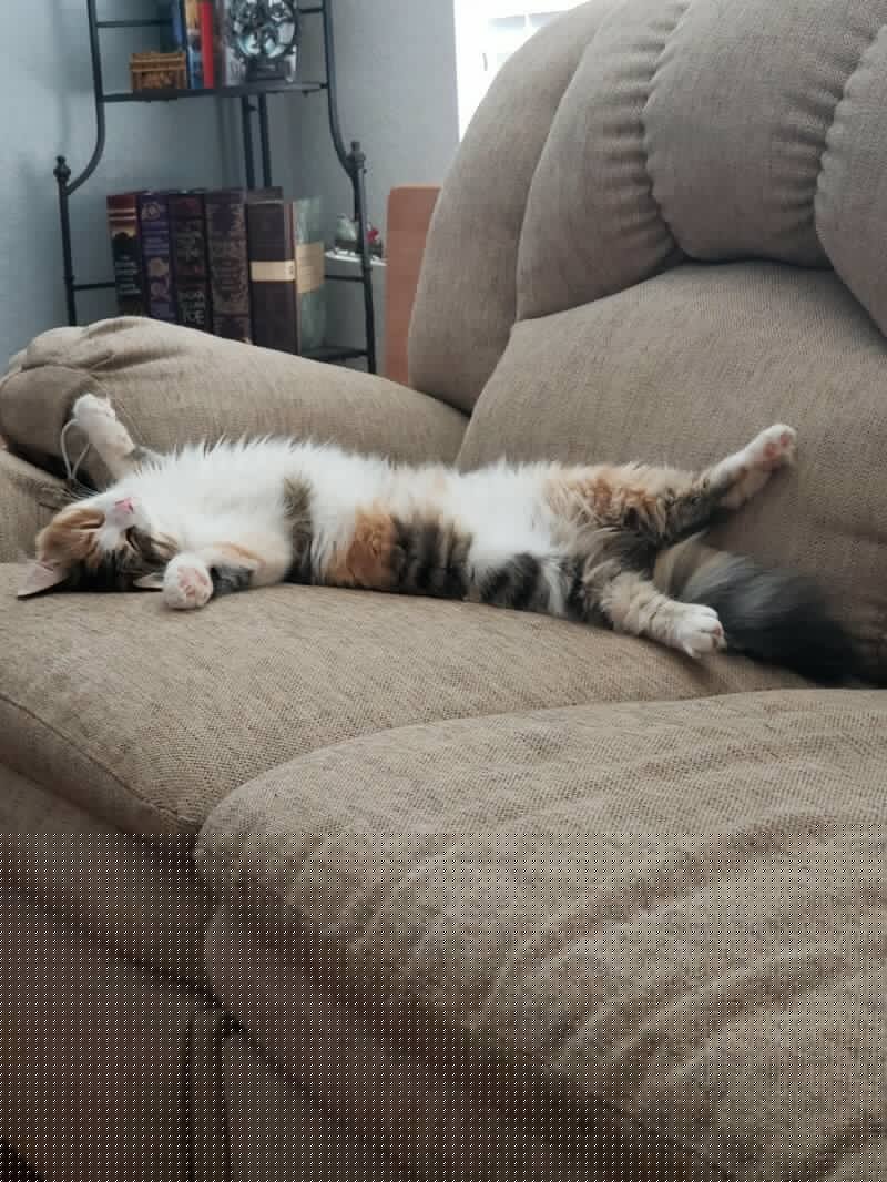 ���������