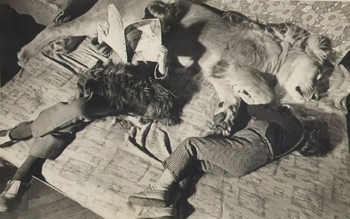 ���������