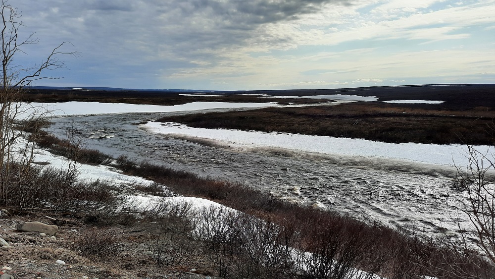 ���������