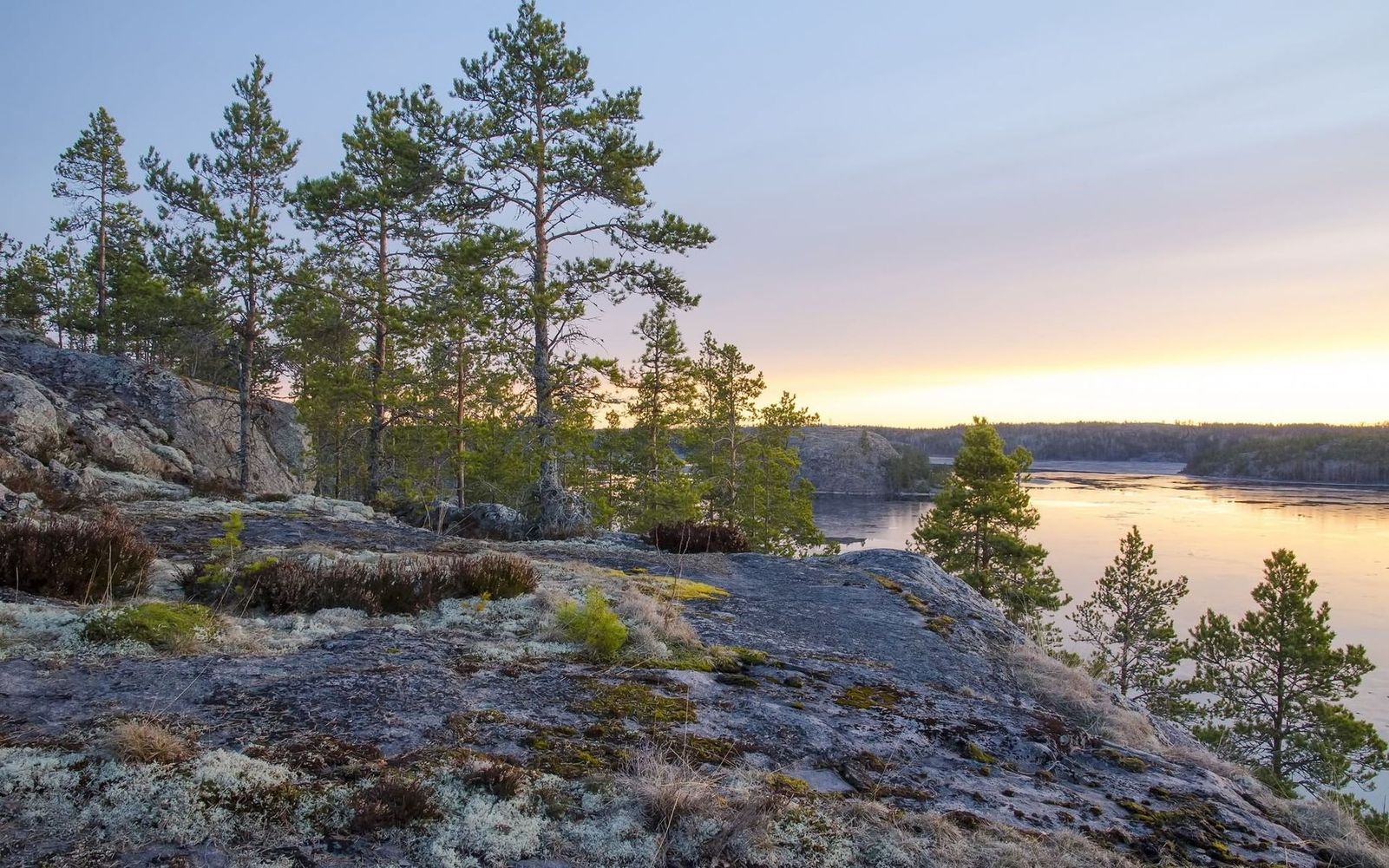 ���������