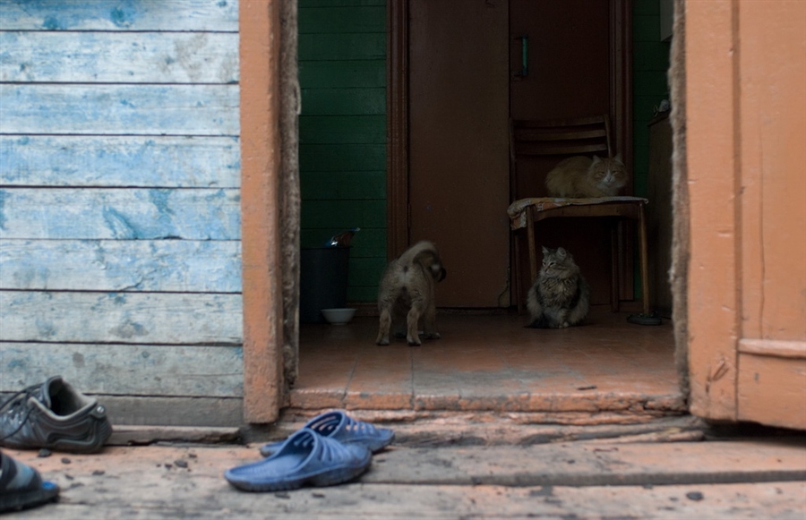 ���������