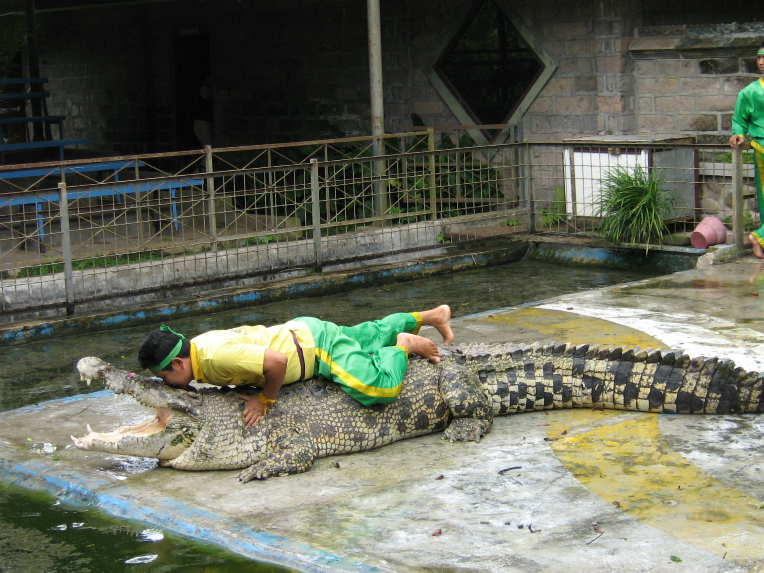 ���������