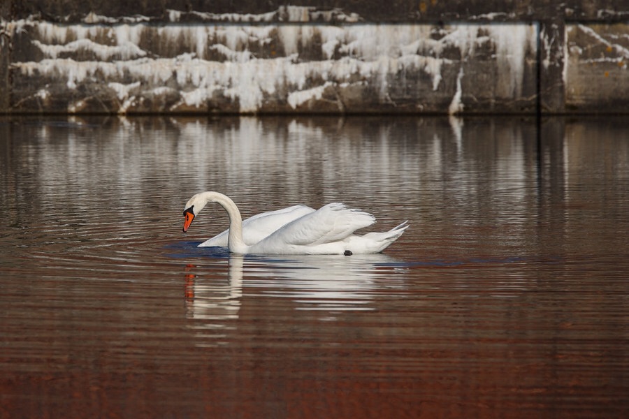 ���������