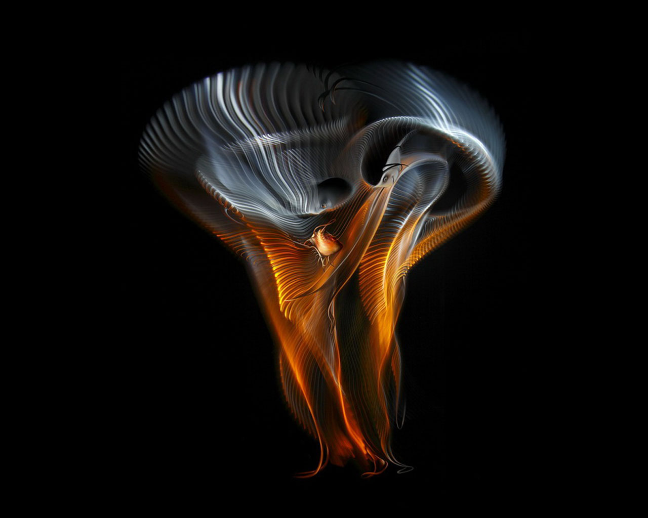 ���������