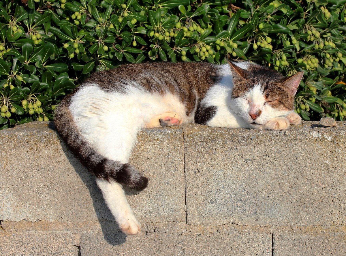 ���������