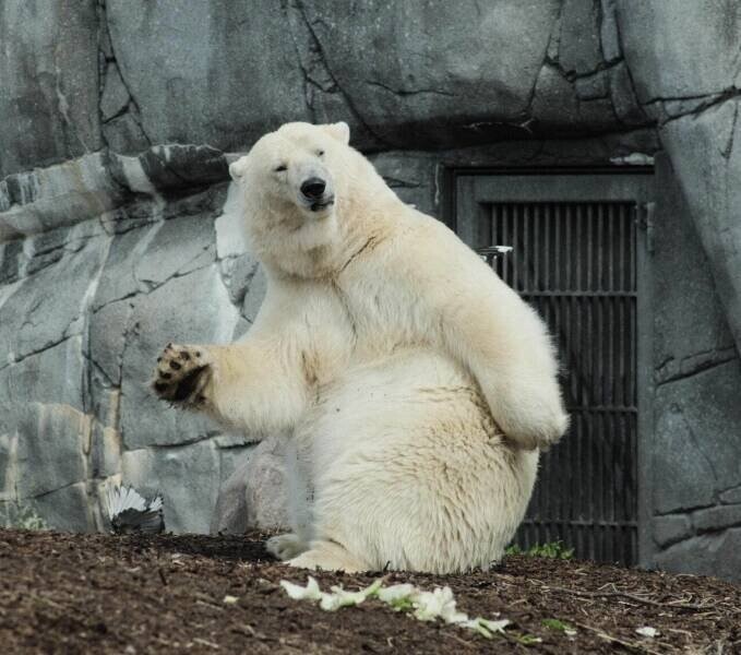 ���������