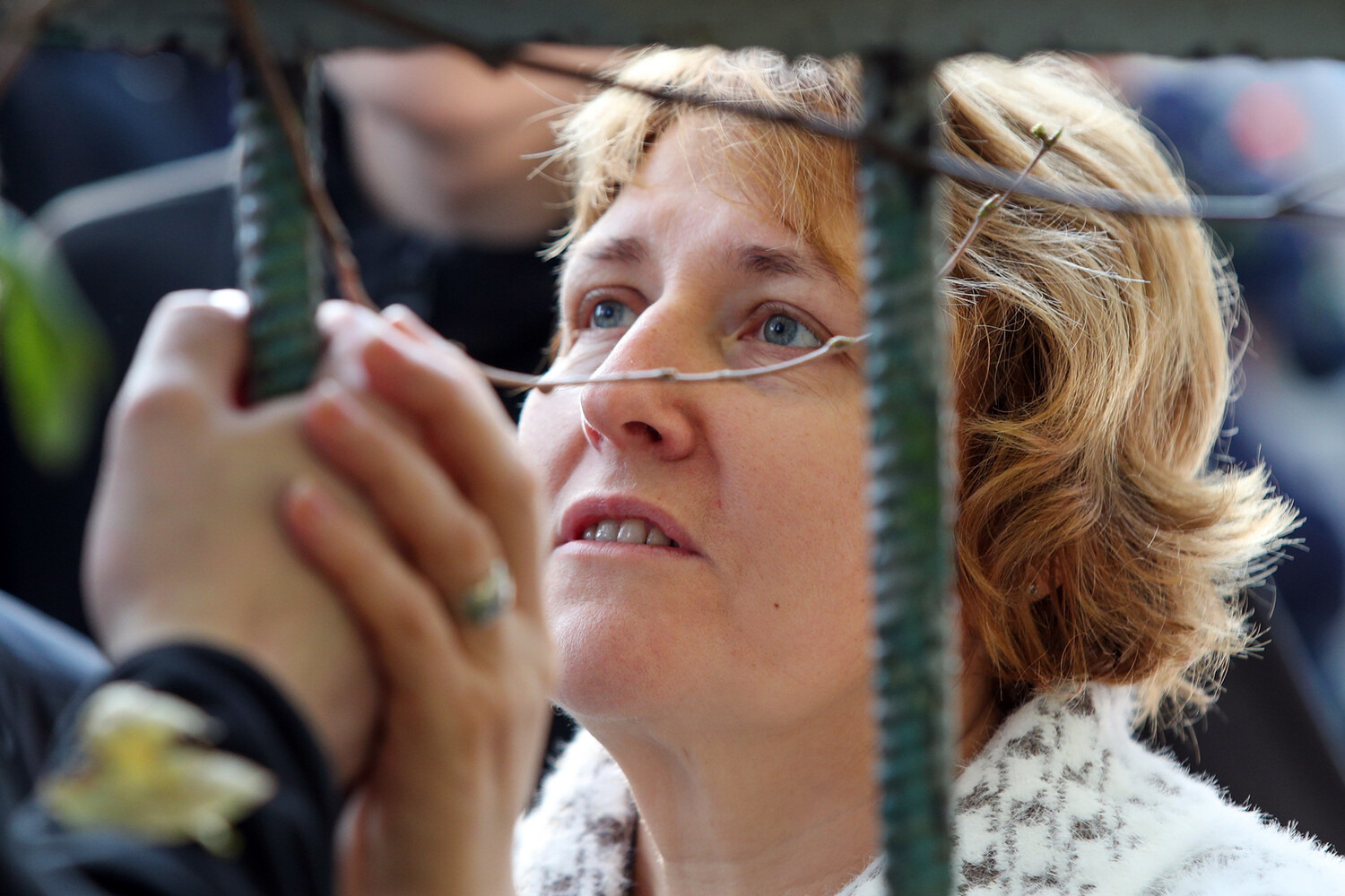 ���������