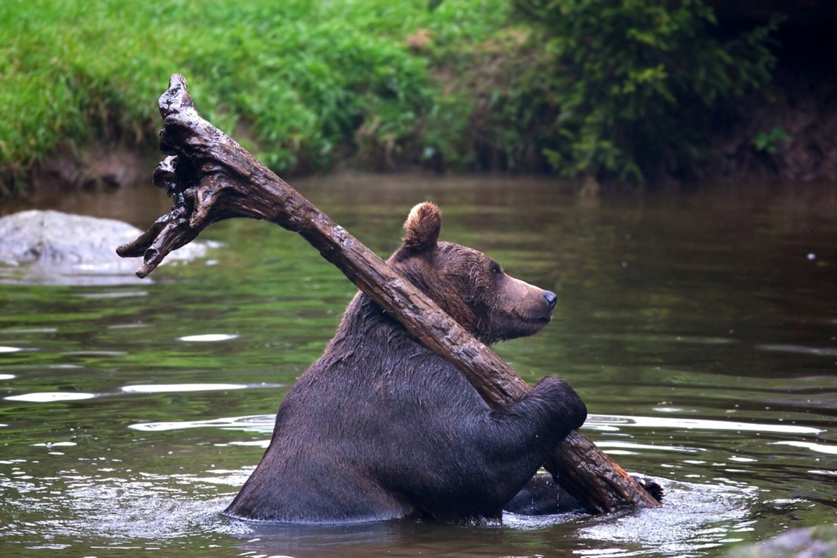 ���������