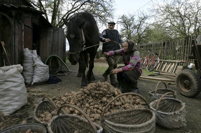 ���������