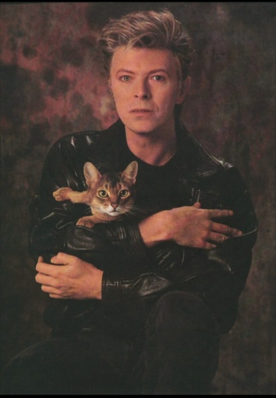 ���������