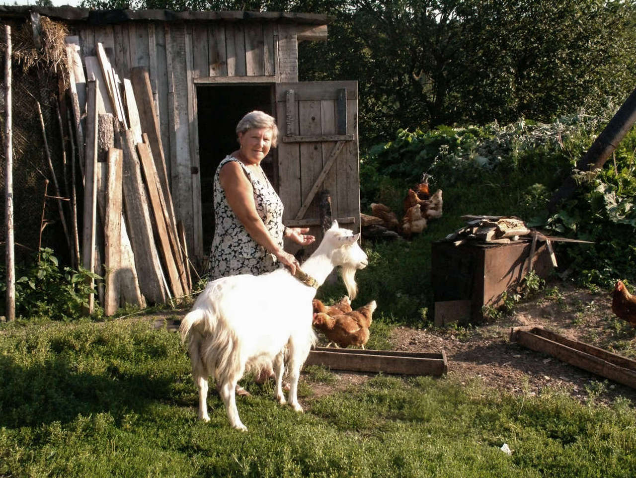 ���������