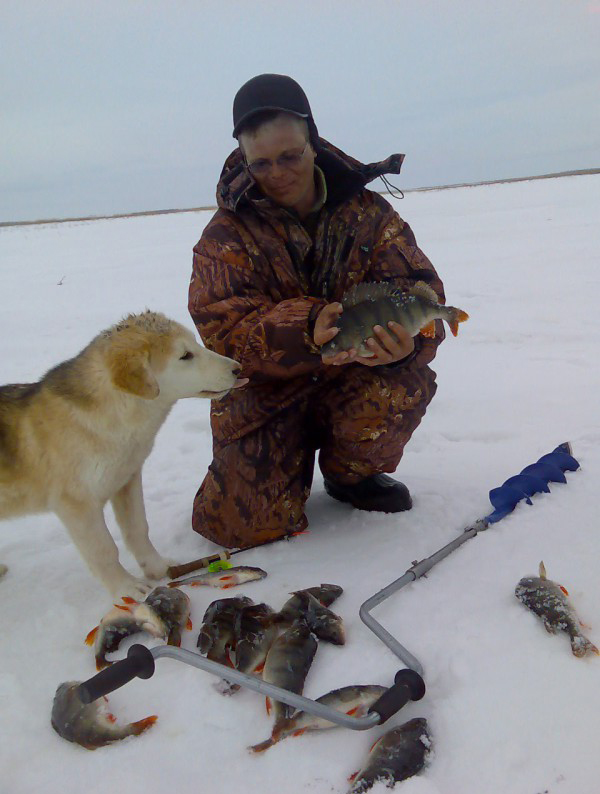 ���������