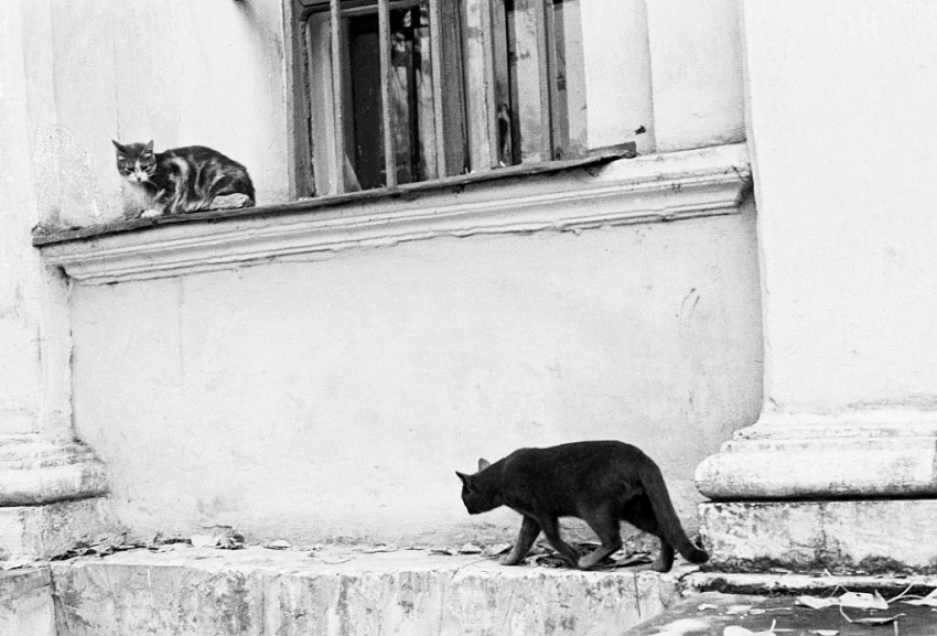 ���������