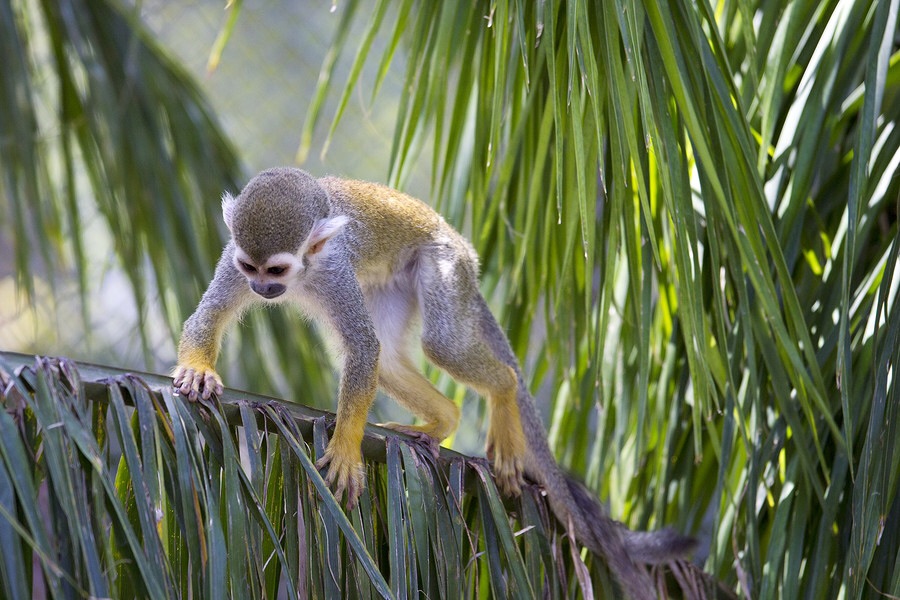 ���������