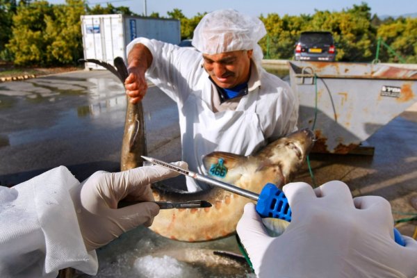 ���������