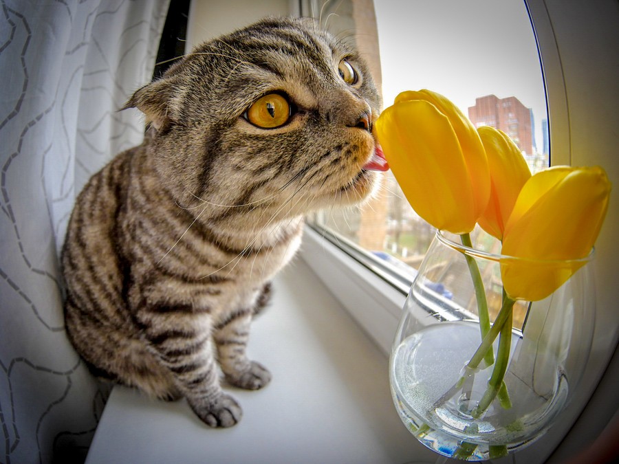 ���������