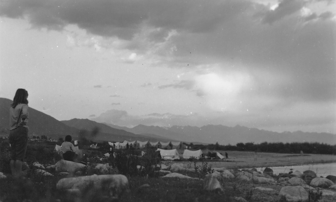 ���������