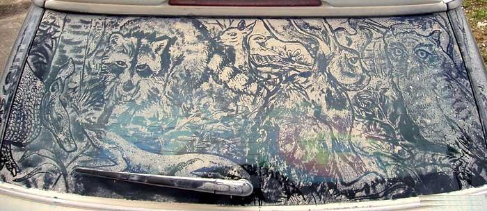 ���������