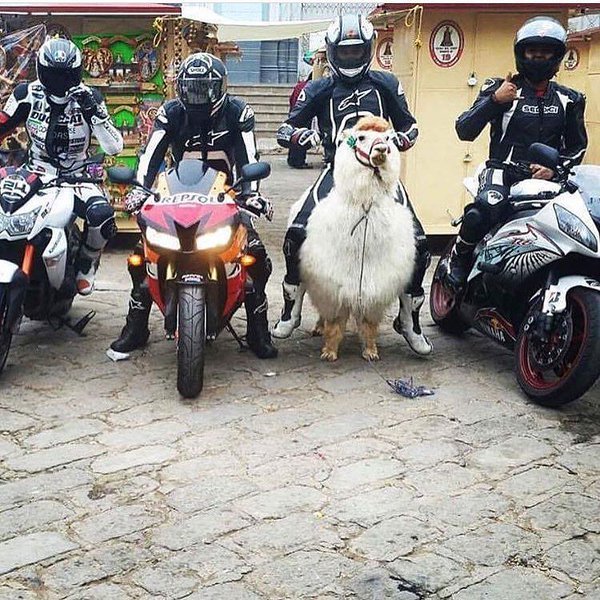 ���������