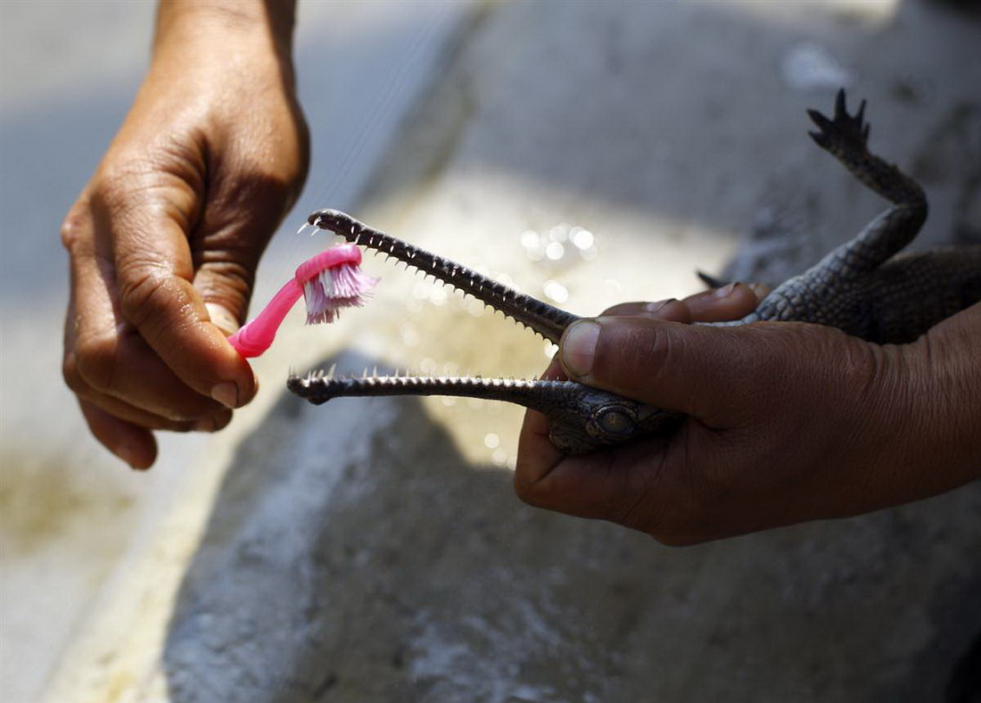 ���������