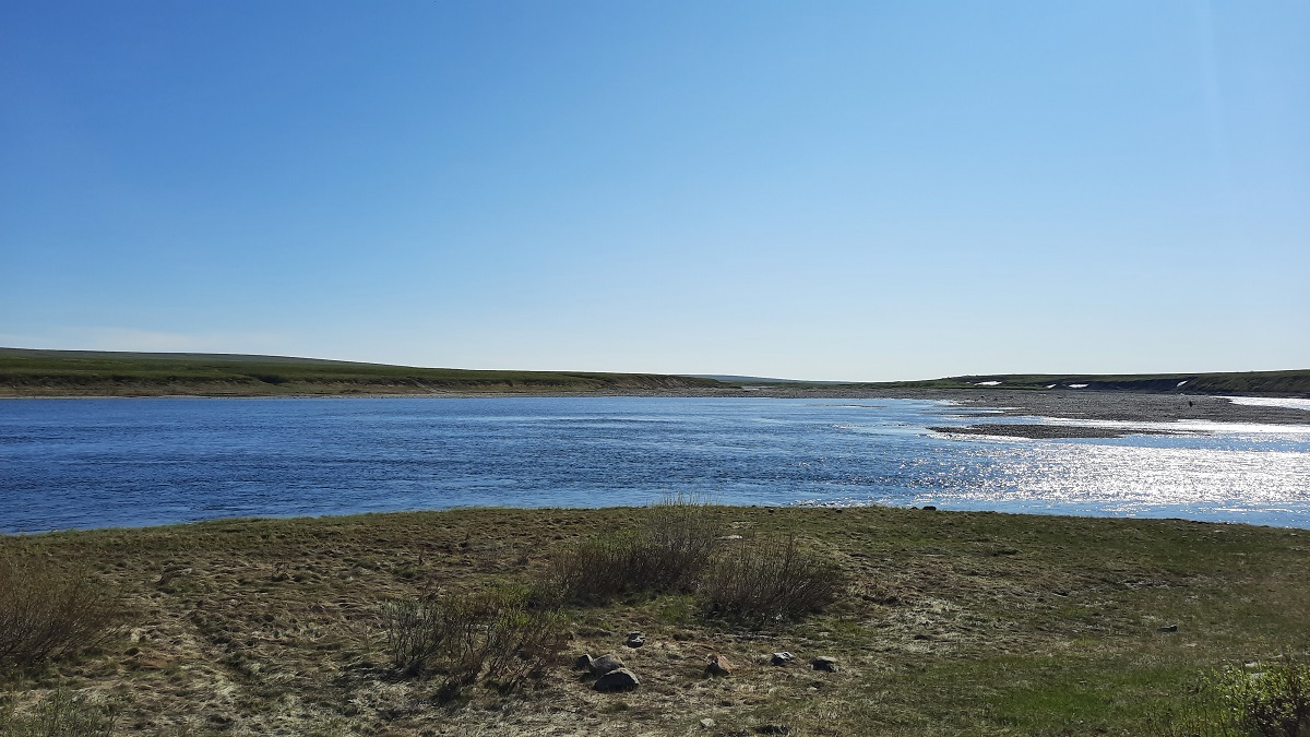 ���������