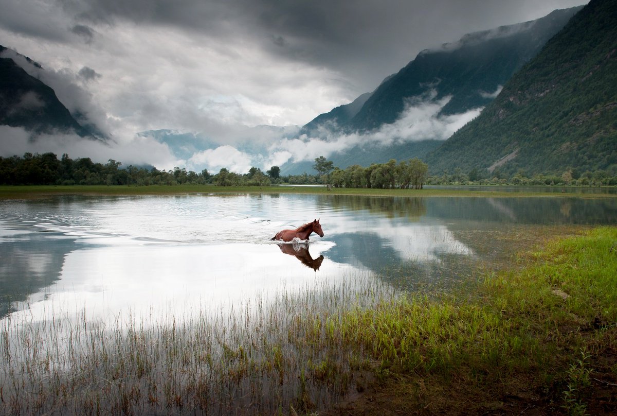 ���������