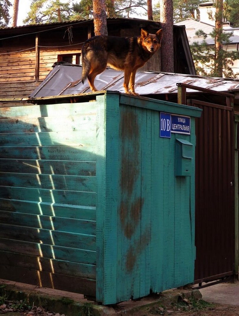 ���������