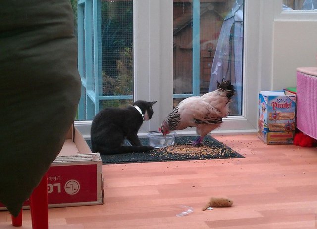 ���������