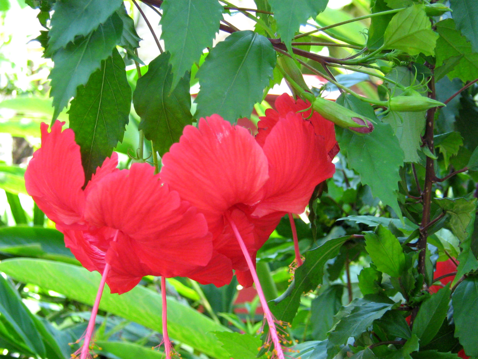 ���������