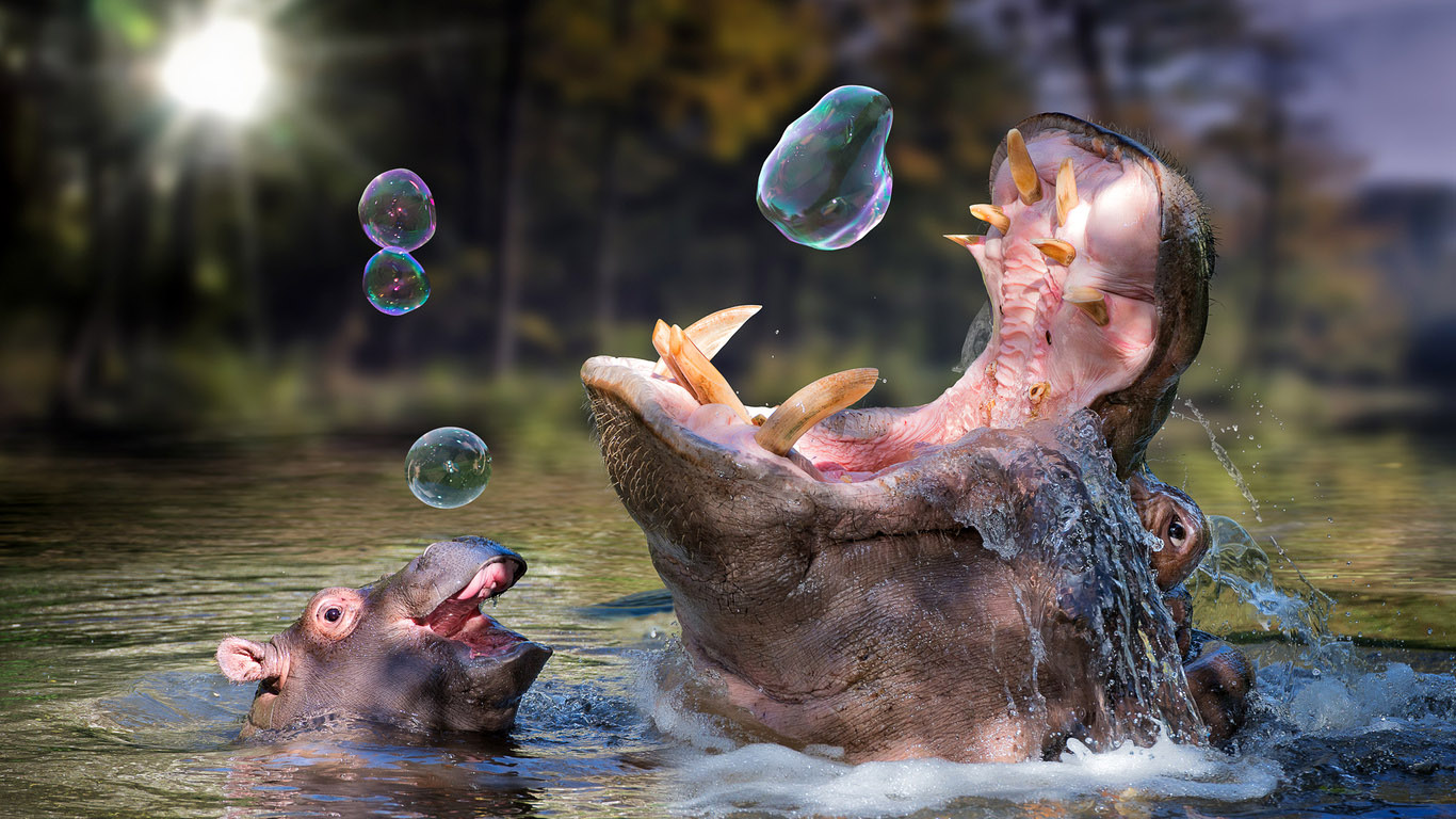 ���������