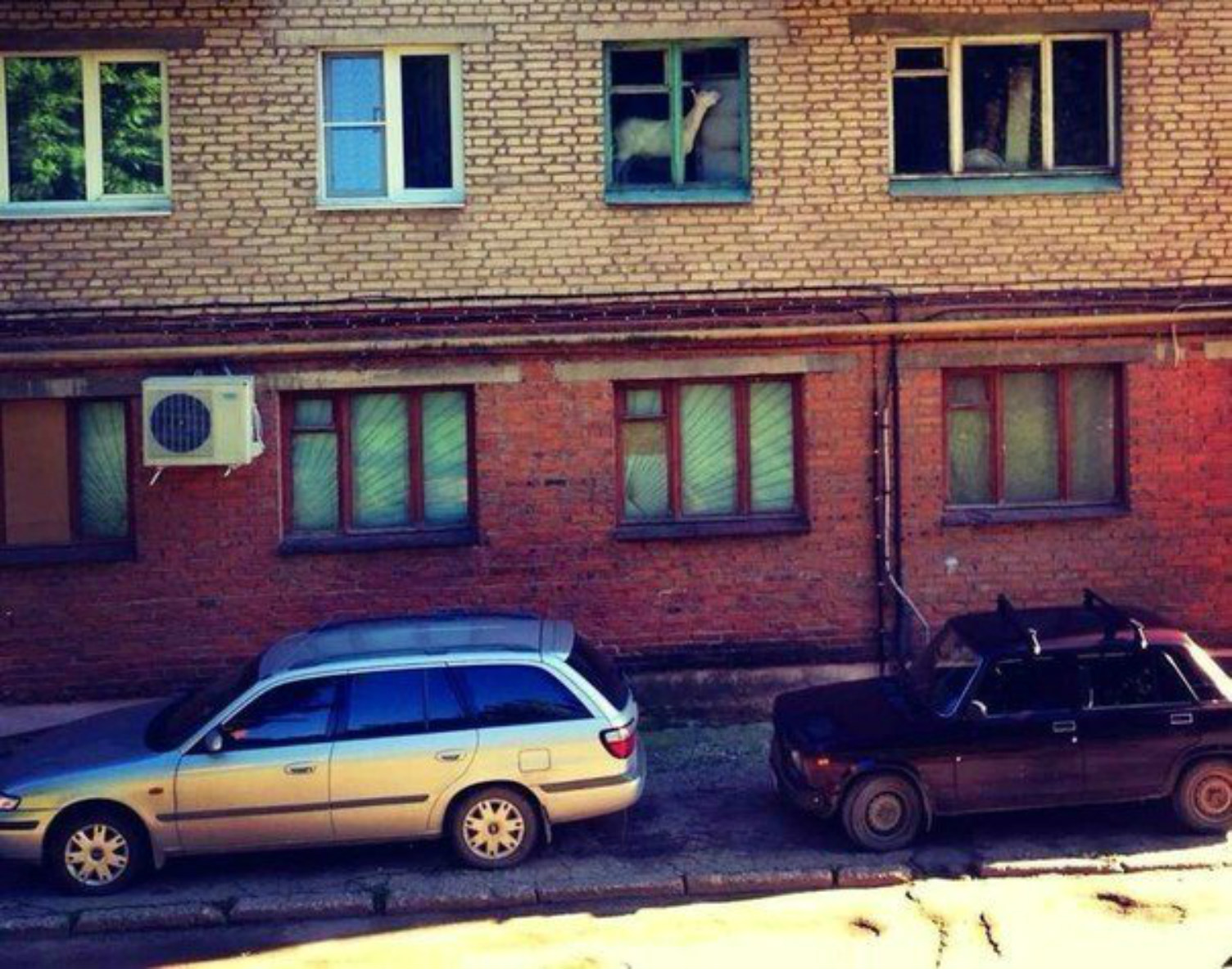 ���������