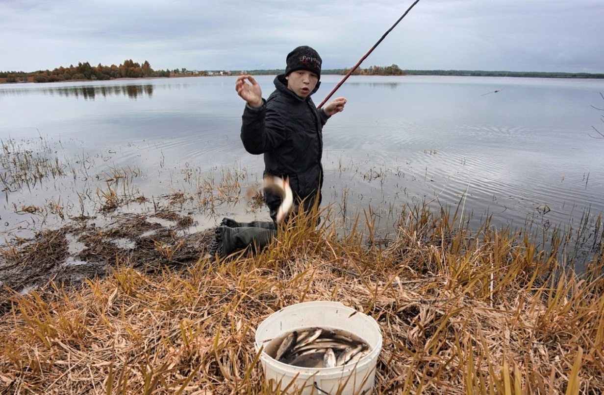 ���������