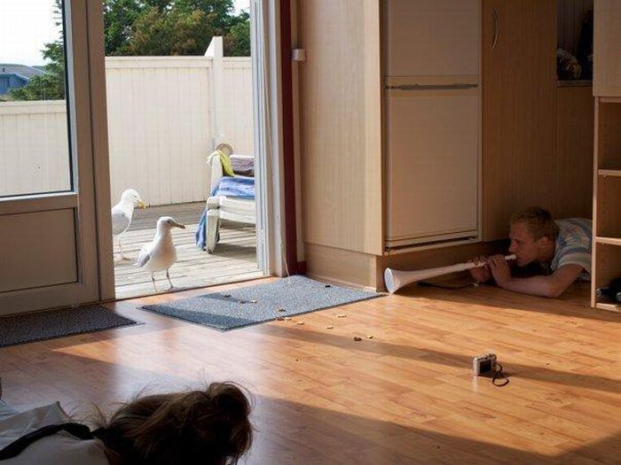 ���������