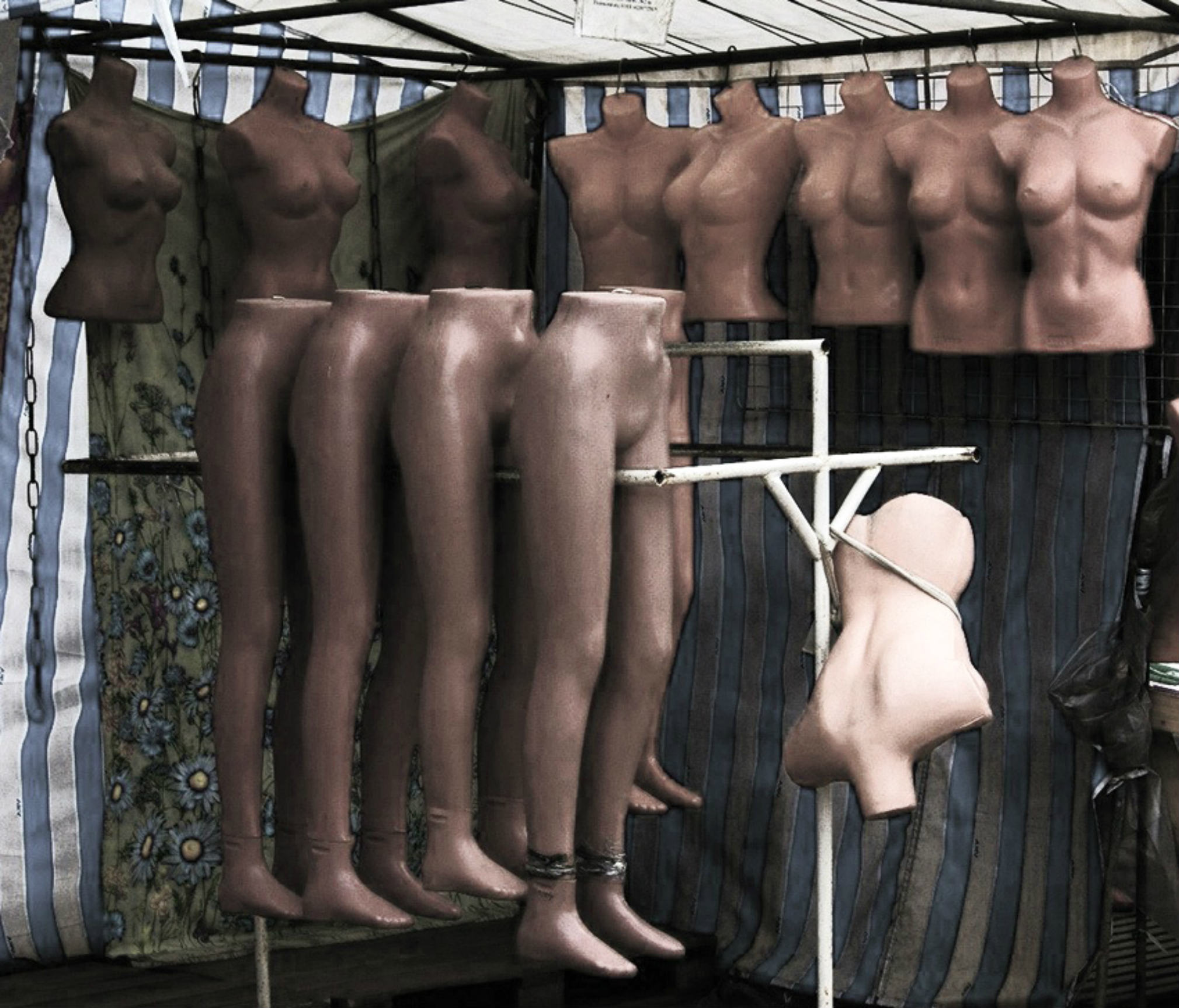 ���������