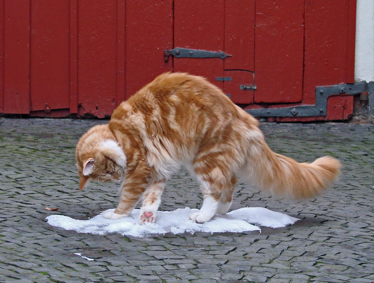 ���������