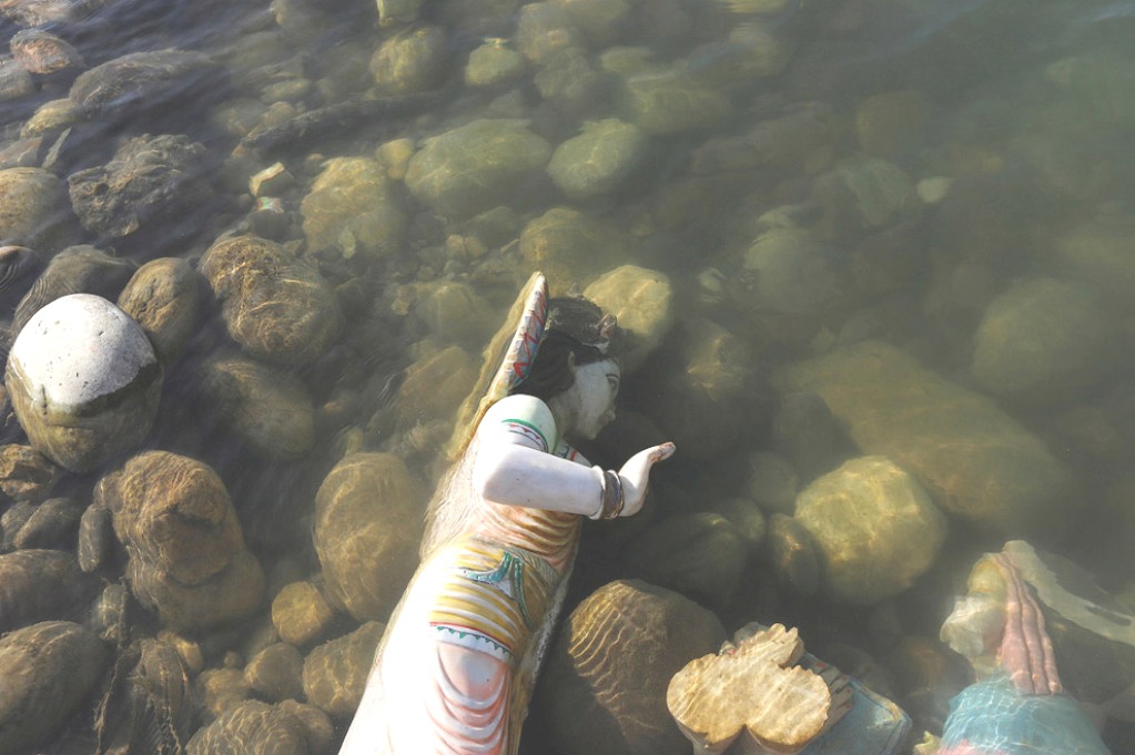 ���������