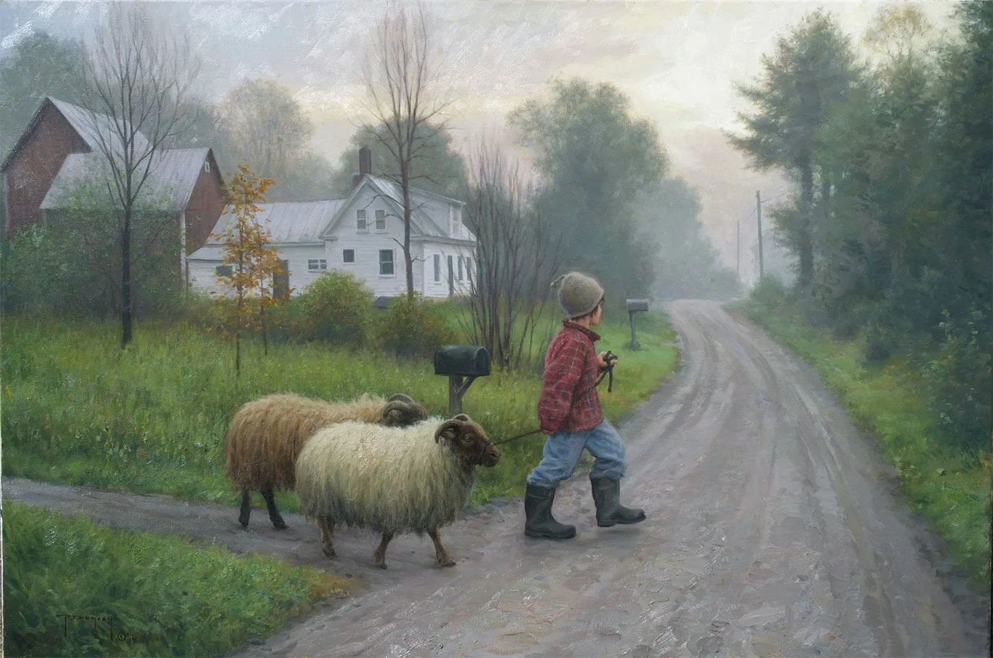 ���������