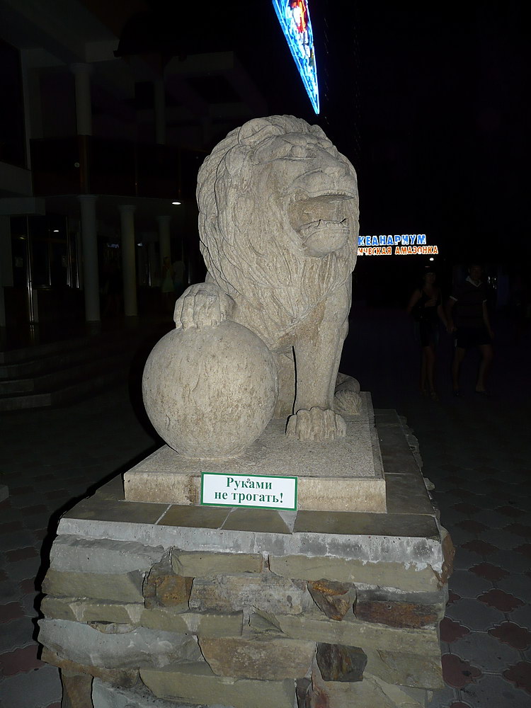 ���������