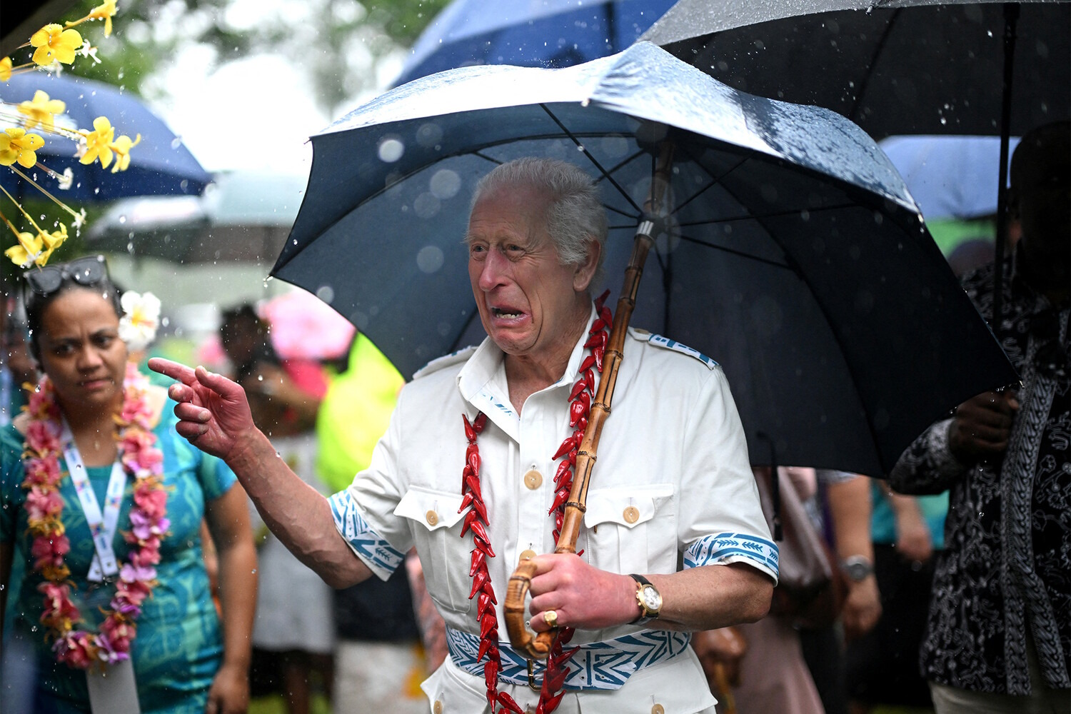 ���������