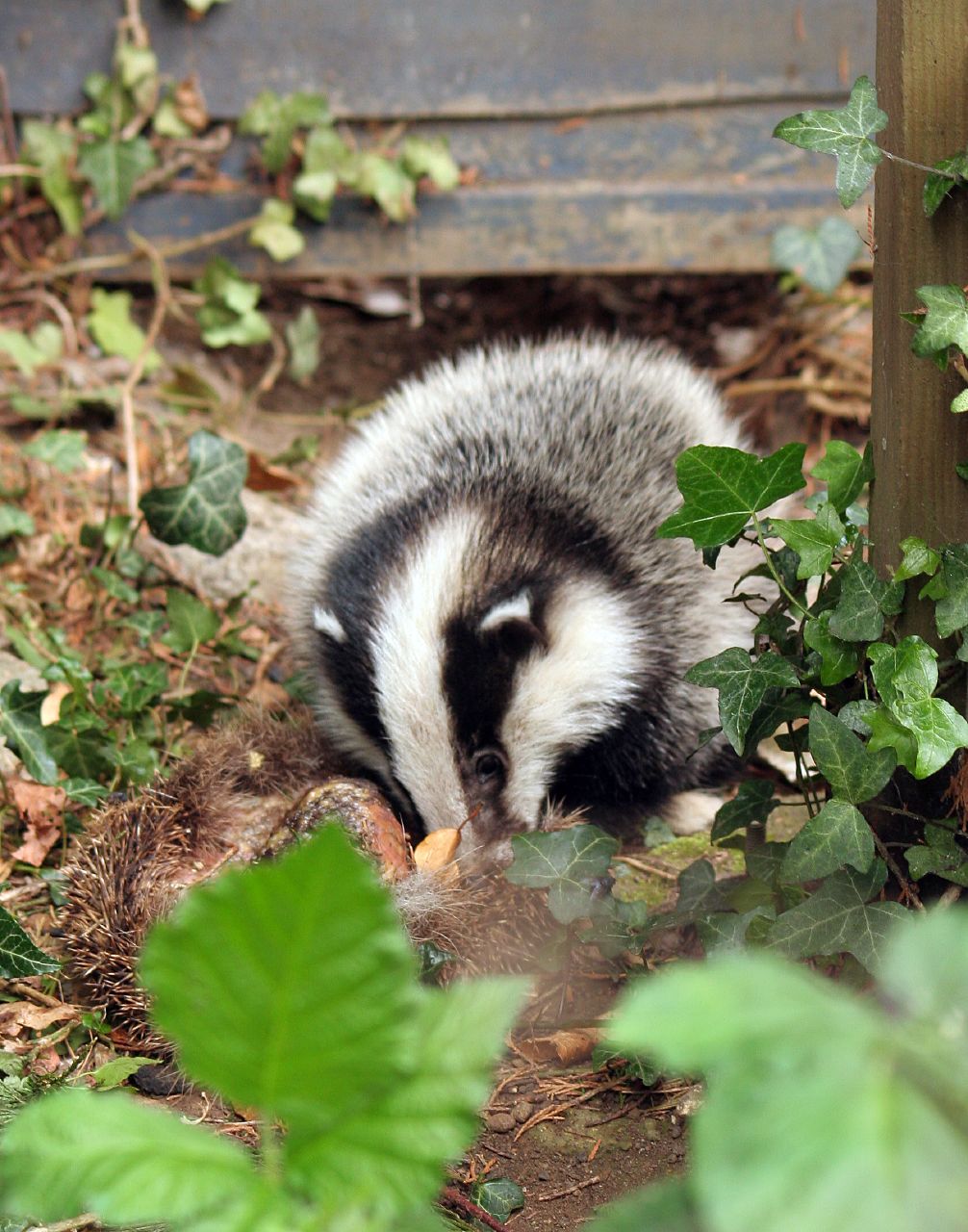 ���������