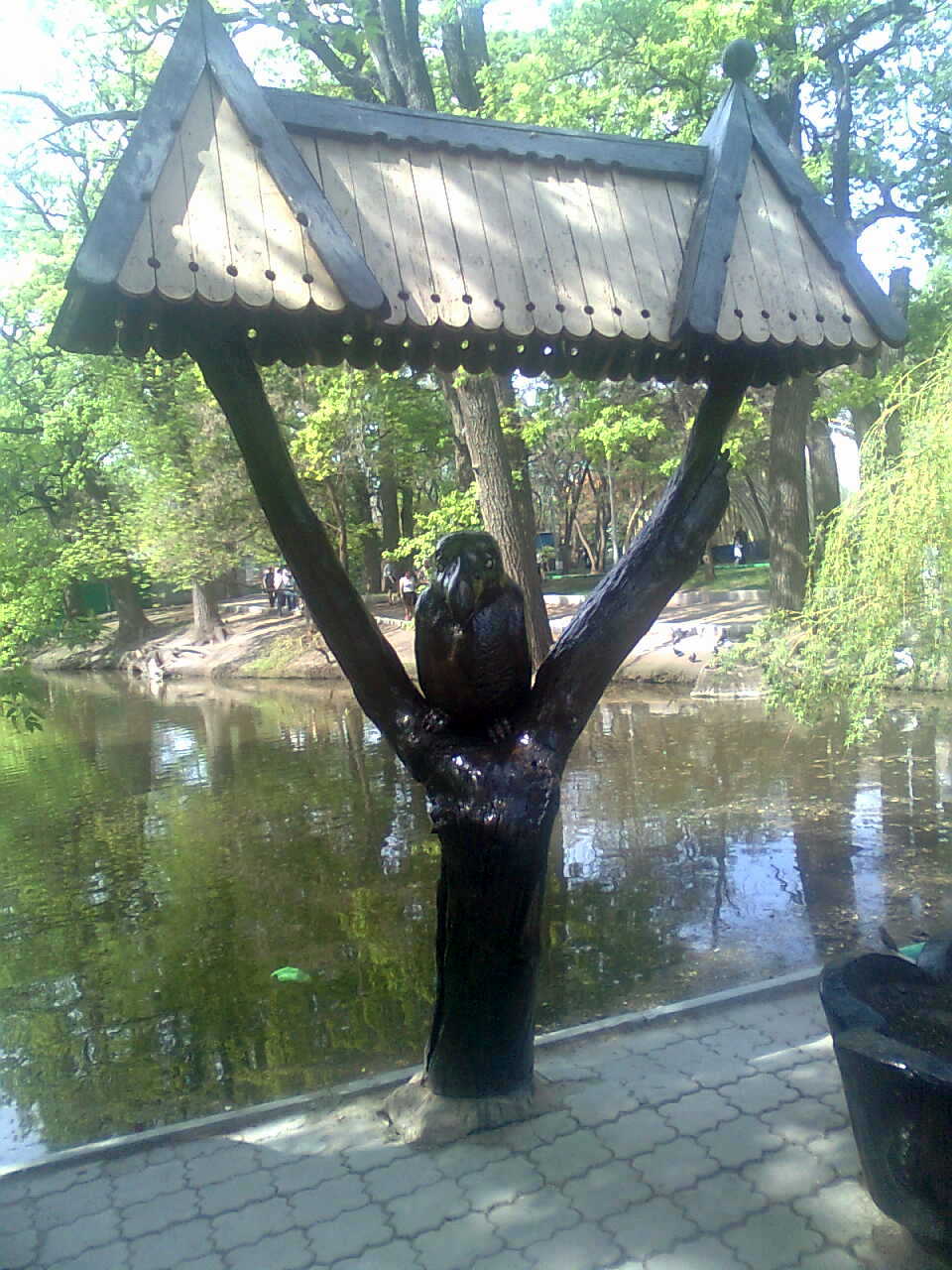 ���������