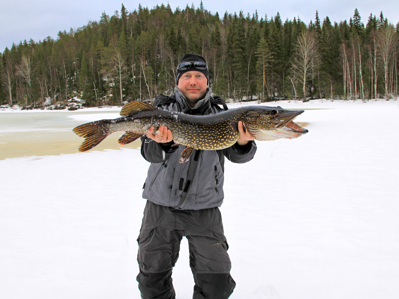 ���������