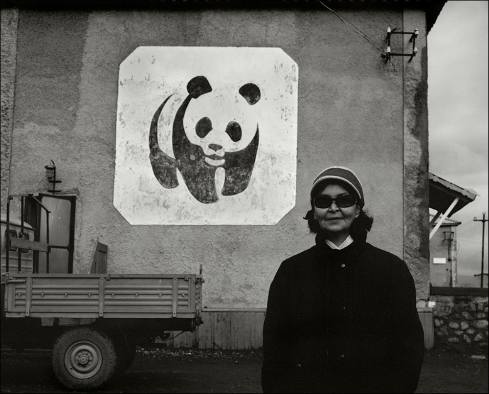 ���������