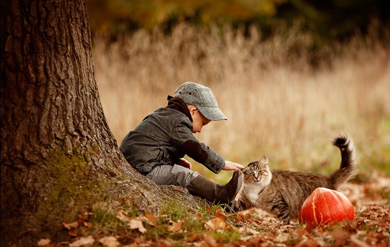 ���������