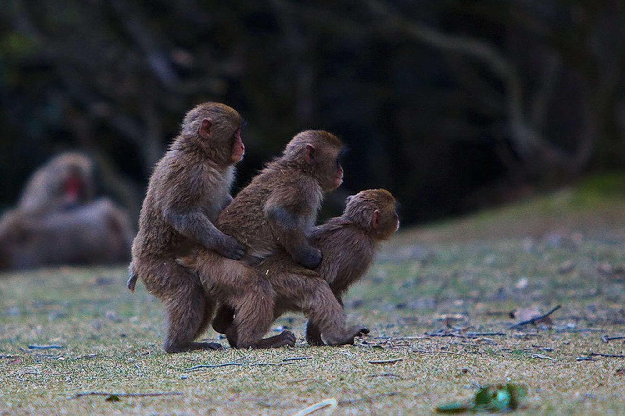 ���������